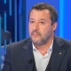Salvini - autoritarismo - sicurezza - leoni